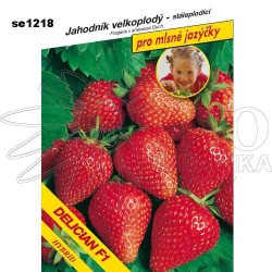 Jahodník DELICIAN F1